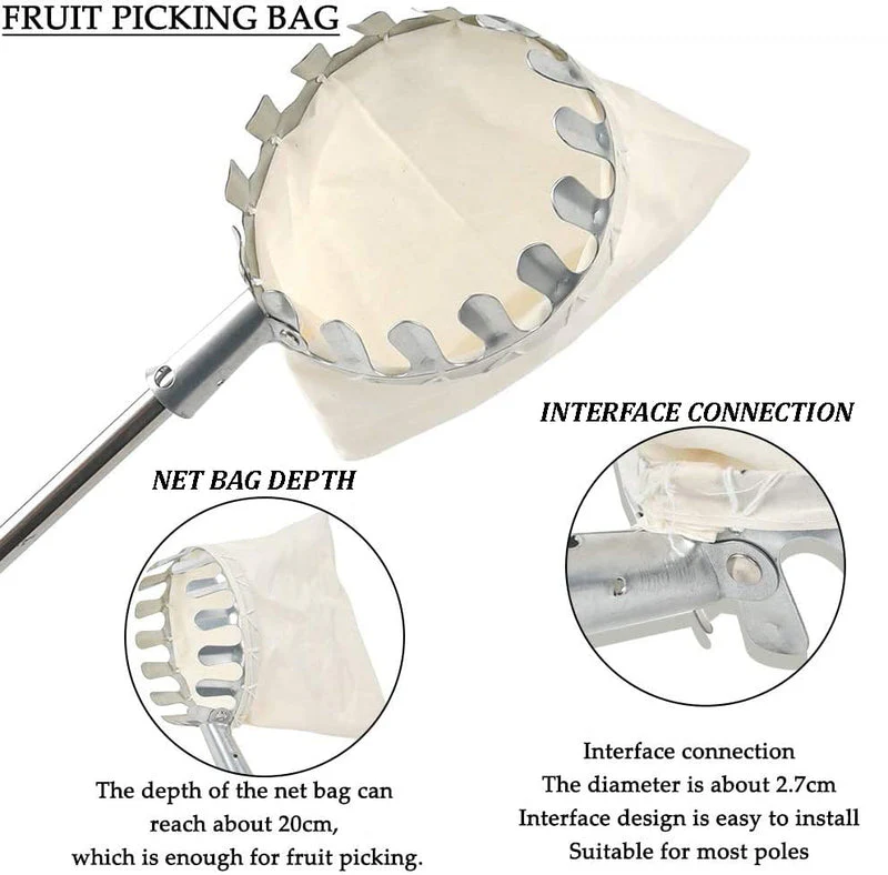 Fruit picker - Image 5